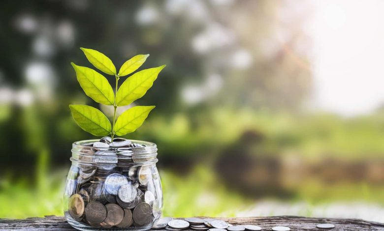 Finansal Özgürlük