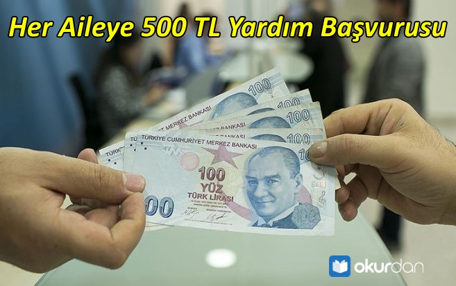 Her Aileye 500 TL Yardım Başvurusu - Başvuru Formu